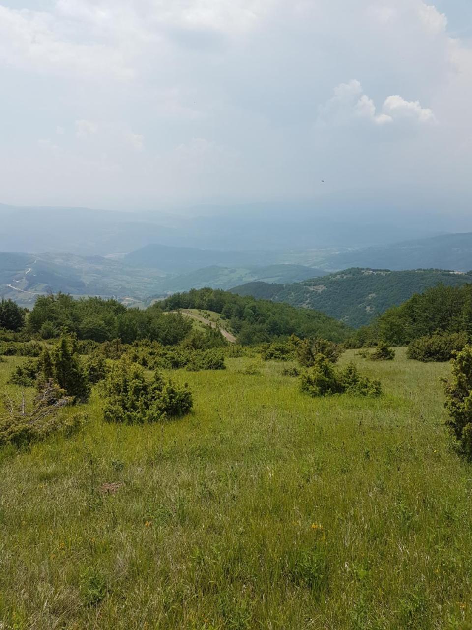 Apartament Milmari M18 Kopaonik Zewnętrze zdjęcie